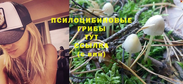 альфа пвп Инсар